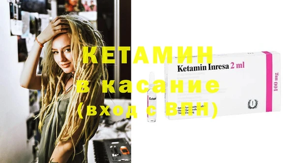 стафф Гусев