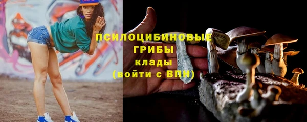 кокаин Гусь-Хрустальный