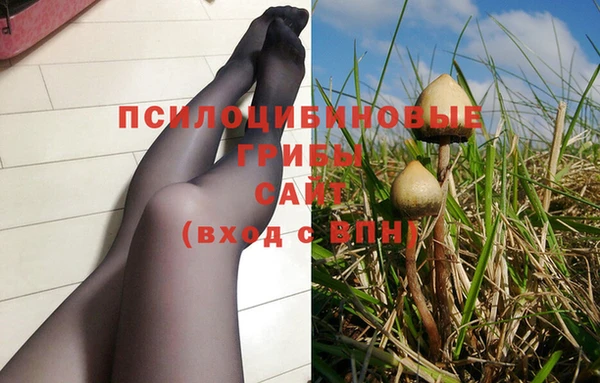 кокаин Гусь-Хрустальный