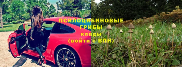 молекула духа Гусиноозёрск