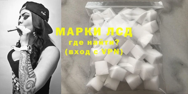 стафф Гусев