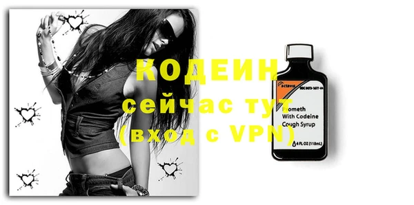 стафф Гусев
