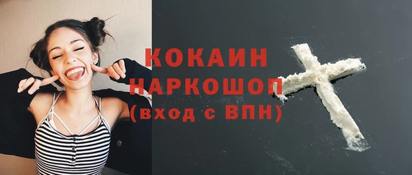 стафф Гусев