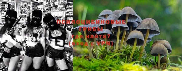 молекула духа Гусиноозёрск