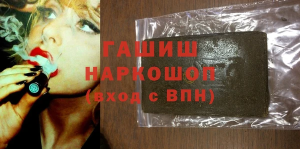 стафф Гусев