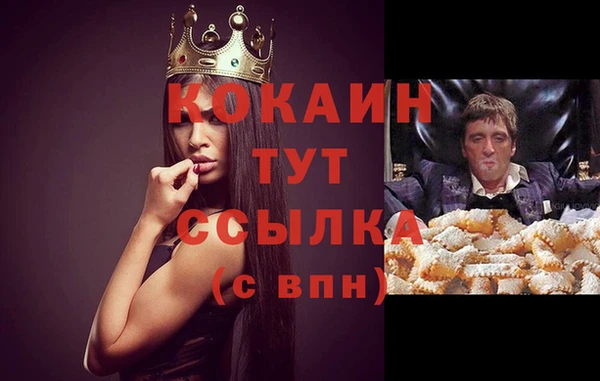 трава Надым